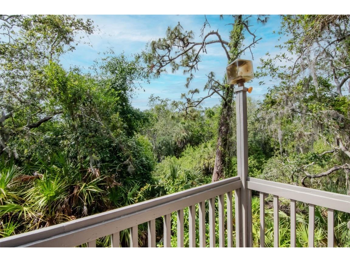 1296 Weybridge Lane Dunedin FL 34698 TB8445062 image42