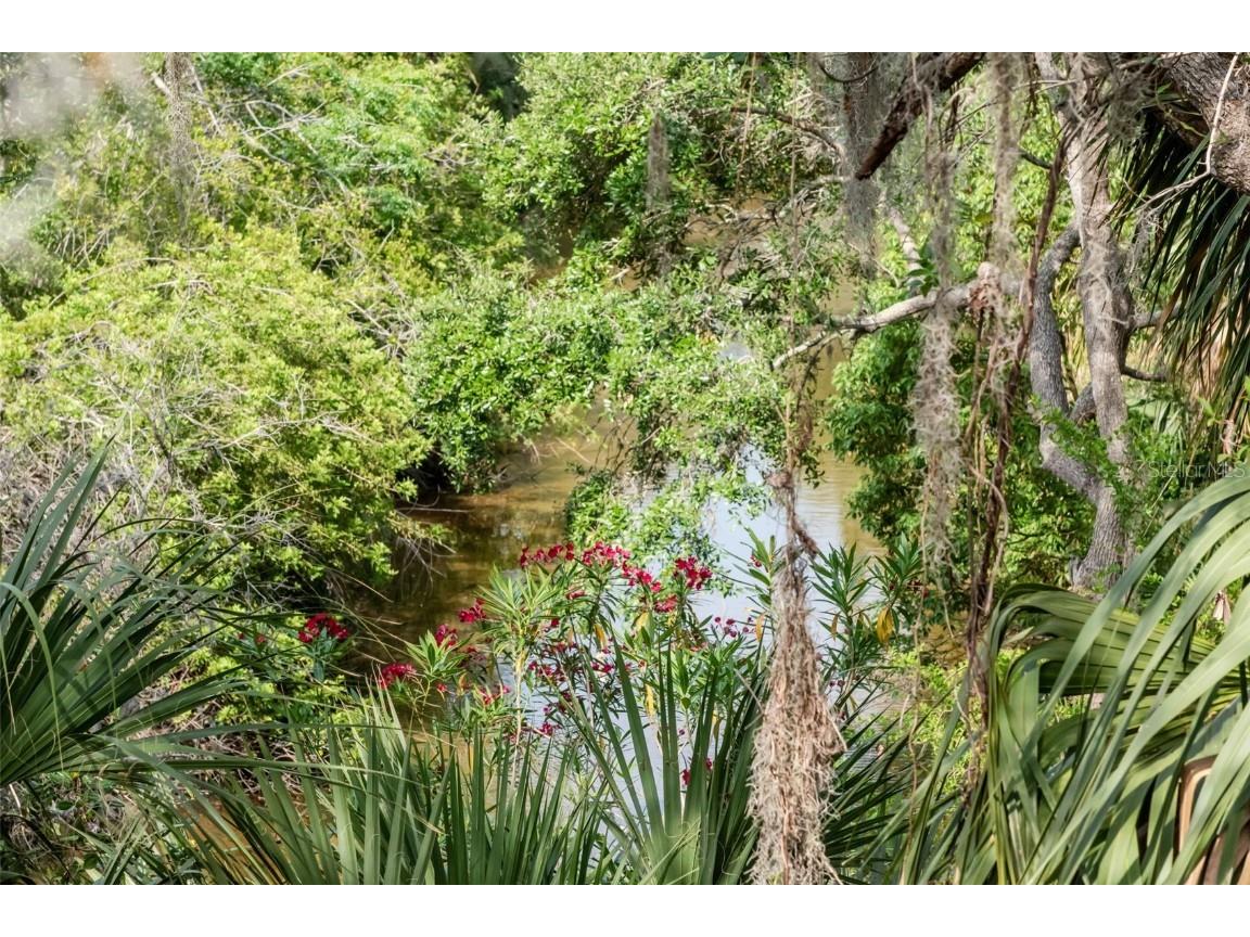 1296 Weybridge Lane Dunedin FL 34698 TB8445062 image70