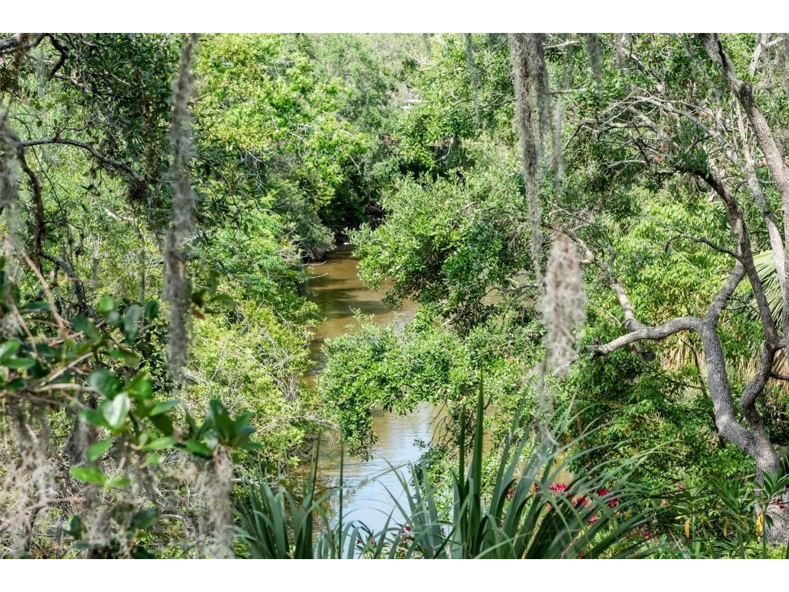 1296 Weybridge Lane Dunedin FL 34698 TB8445062 image71