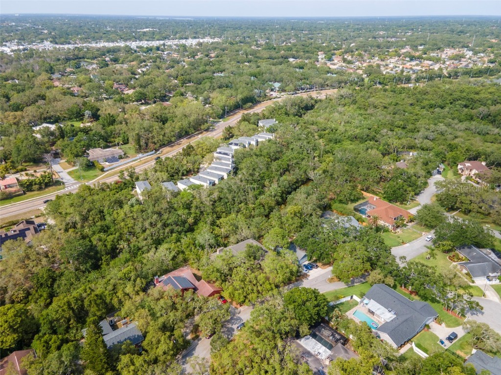 1296 Weybridge Lane Dunedin FL 34698 TB8445062 image80