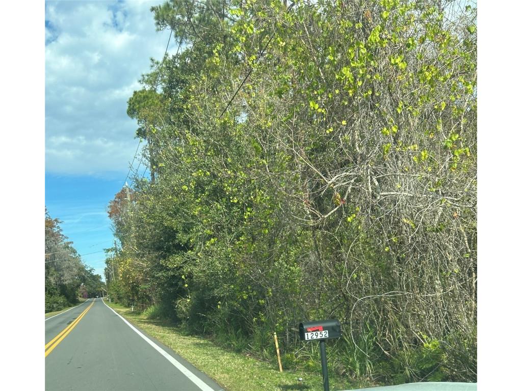 12961 Reaves Road Winter Garden FL 34787 O6266917 image1