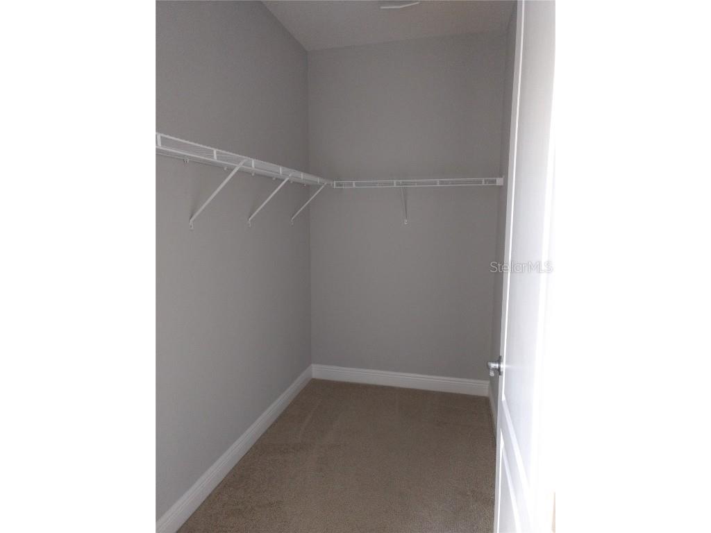 12962 Cats Claw Lane Orlando FL 32828 S5138000 image24