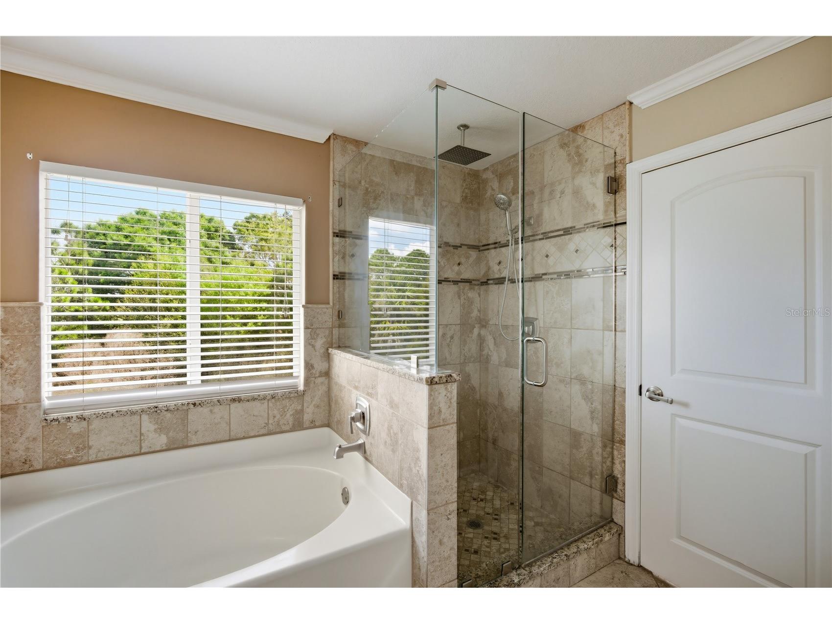12962 Fennway Ridge Drive Riverview FL 33569 TB8486619 image19