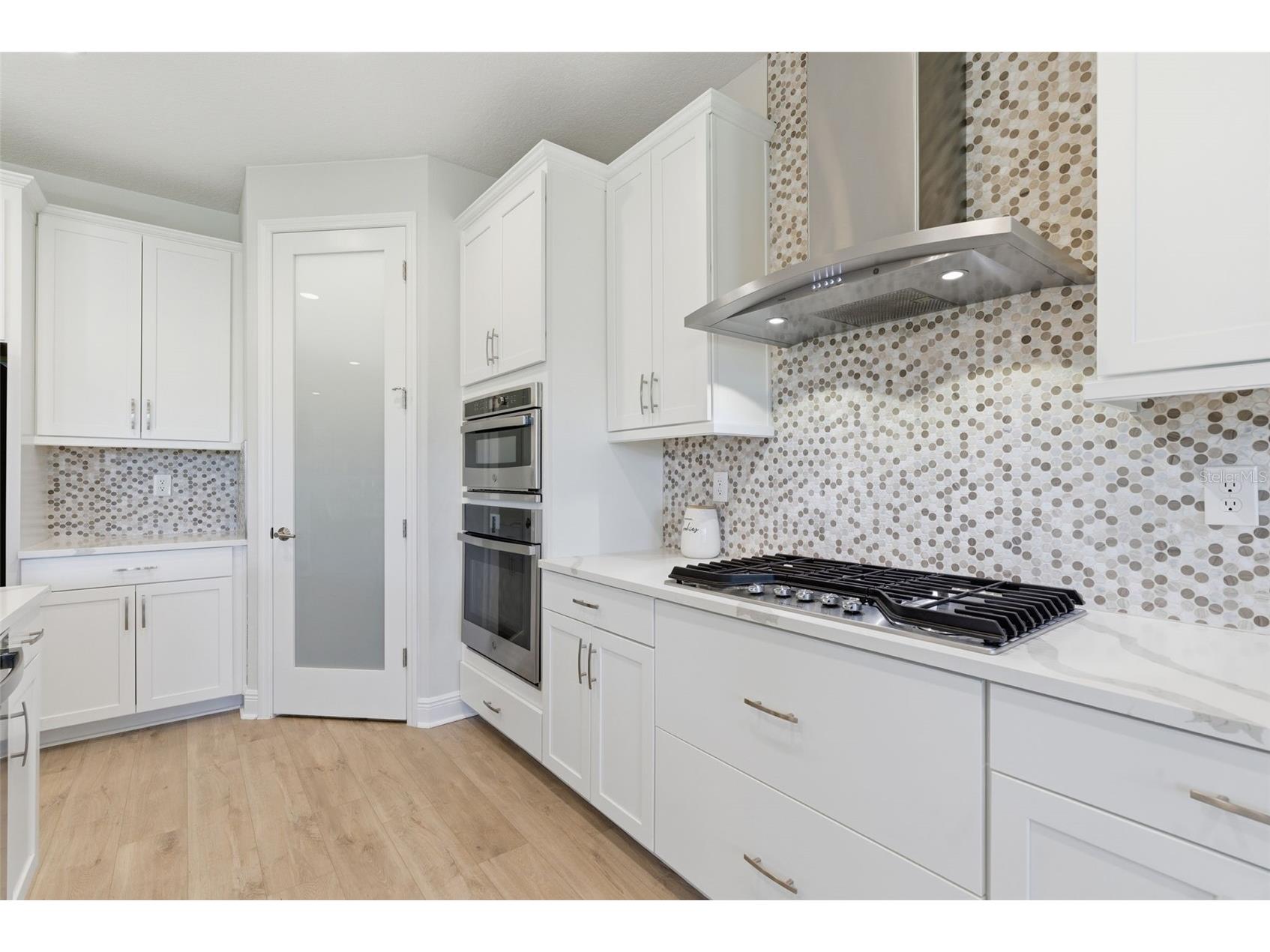 12962 Steed Trace Loop Lithia FL 33547 TB8513875 image11