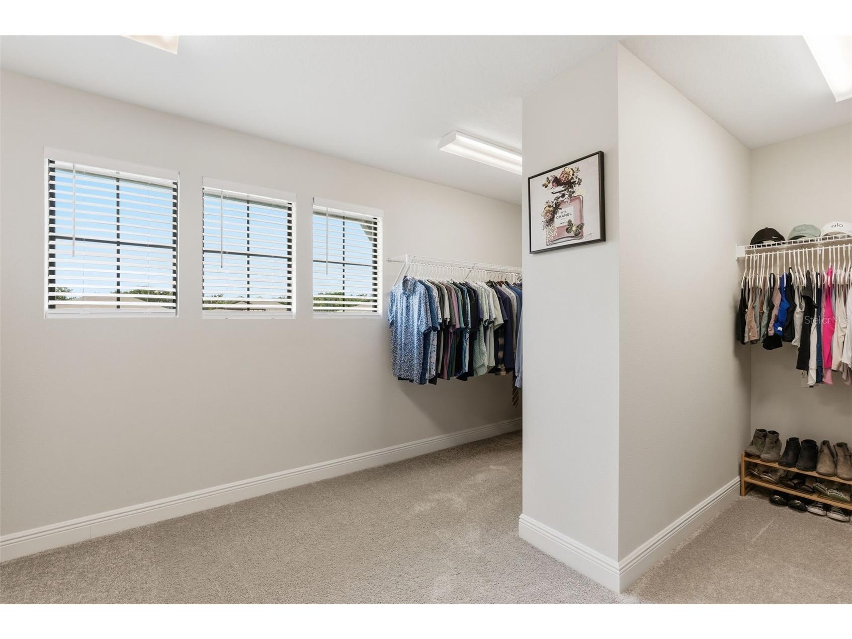 12962 Steed Trace Loop Lithia FL 33547 TB8513875 image35