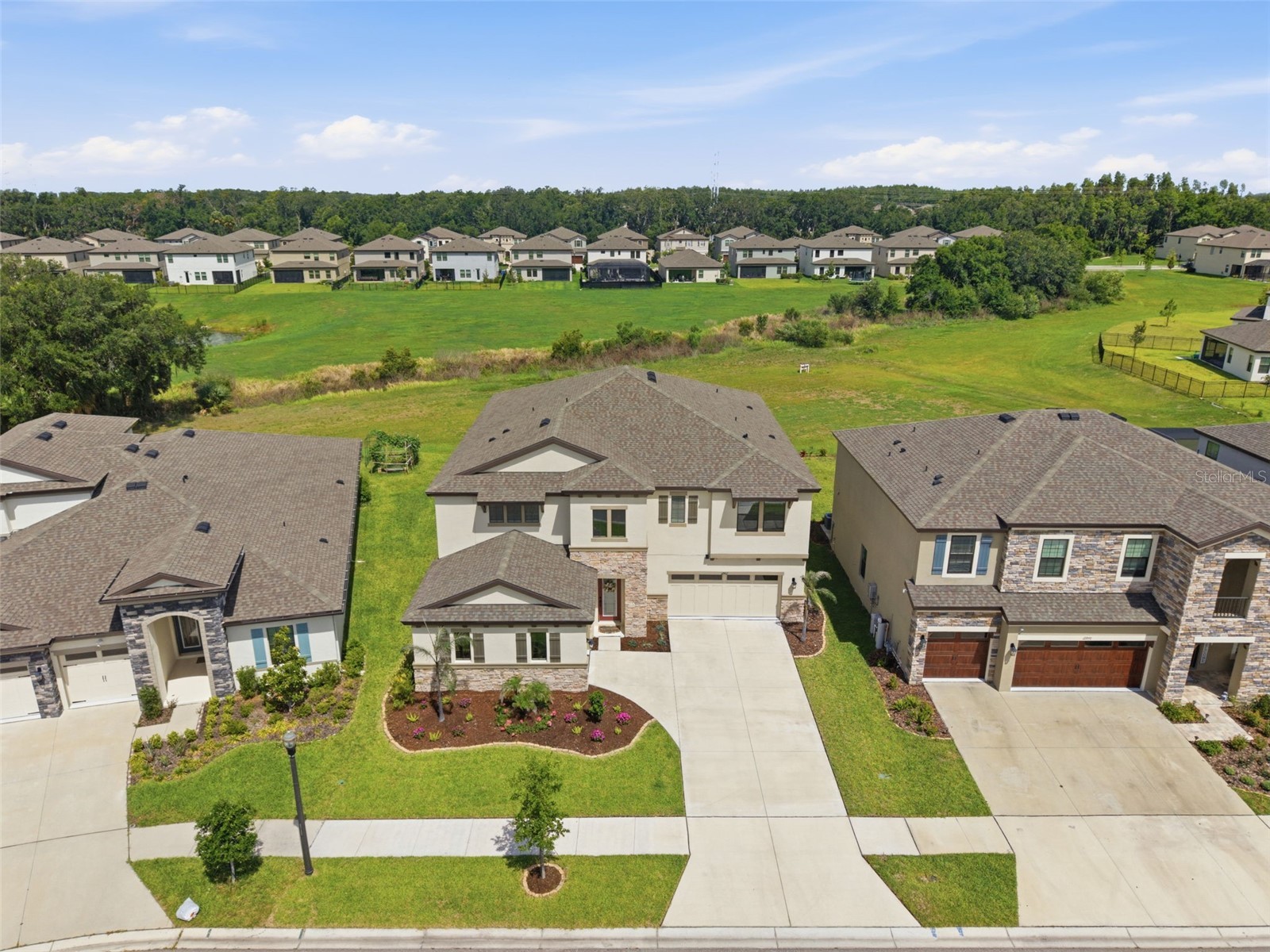 12962 Steed Trace Loop Lithia FL 33547 TB8513875 image39