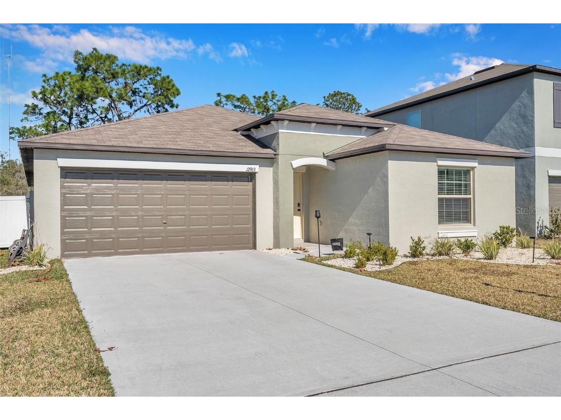 12963 Wildflower Meadow Drive Riverview FL 33579 T3421893 image1