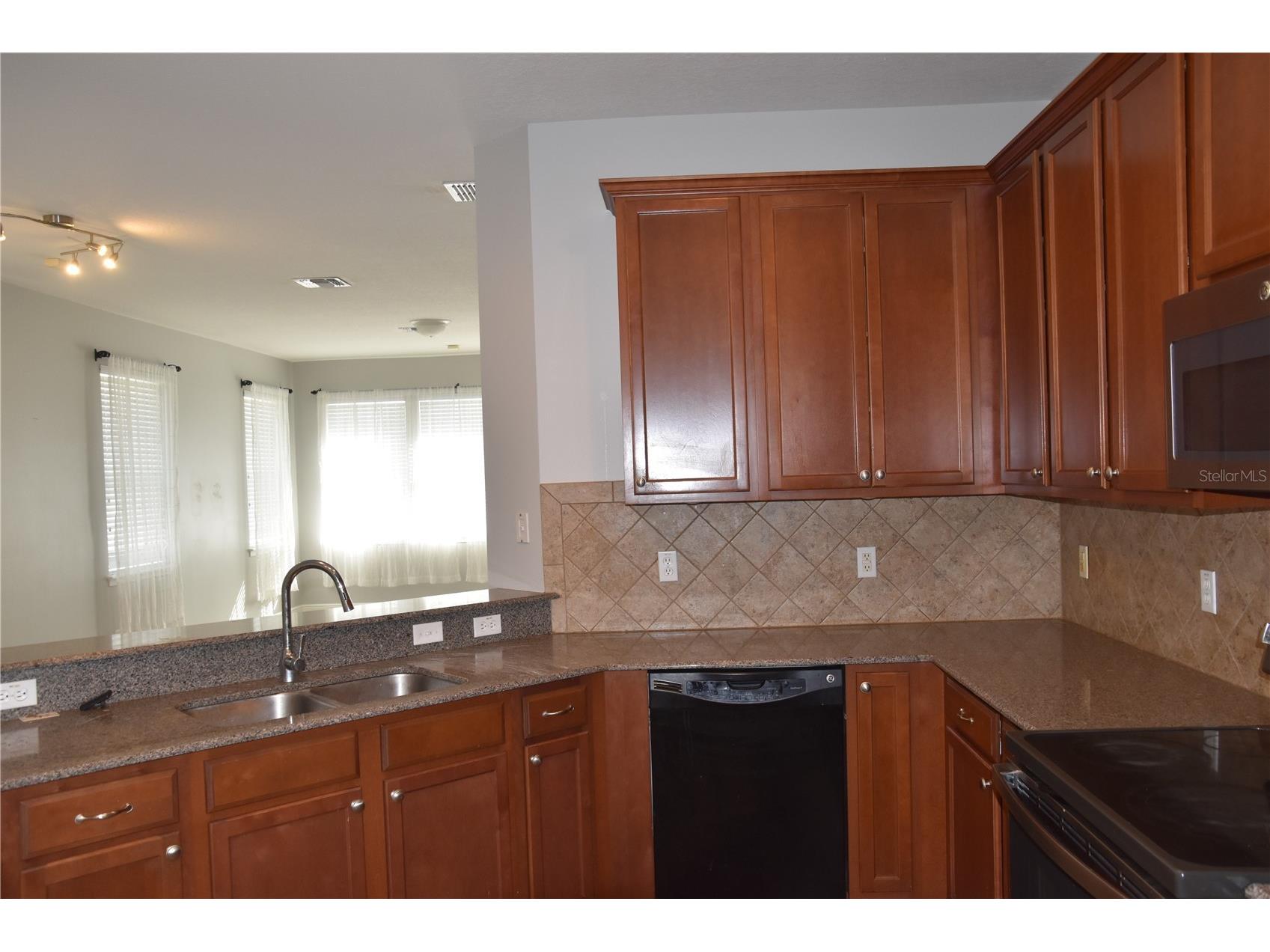 12964 Emersondale Avenue Windermere FL 34786 O6398400 image10