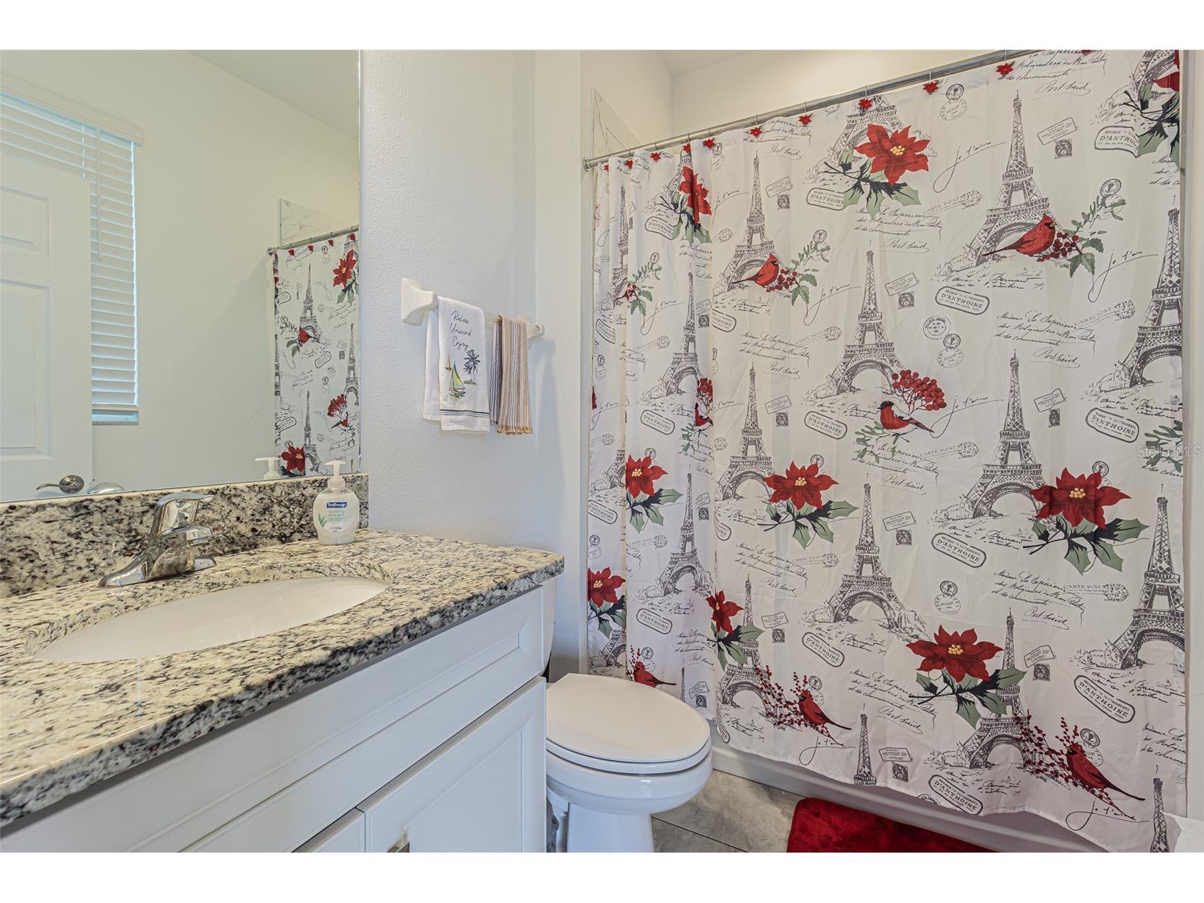 12964 Willow Grove Drive Riverview FL 33579 T3518858 image11