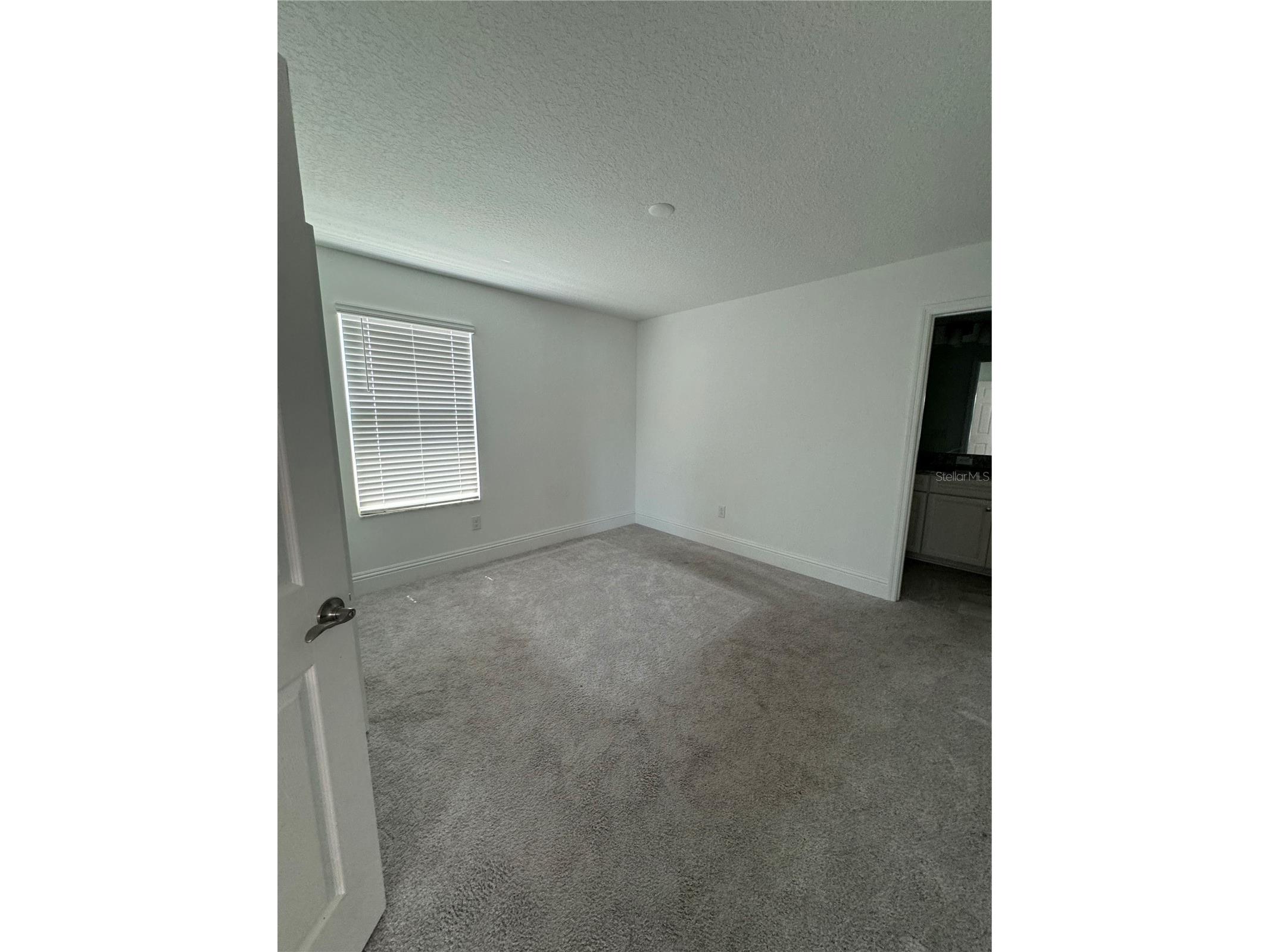 12964 Willow Grove Drive Riverview FL 33579 T3518858 image14