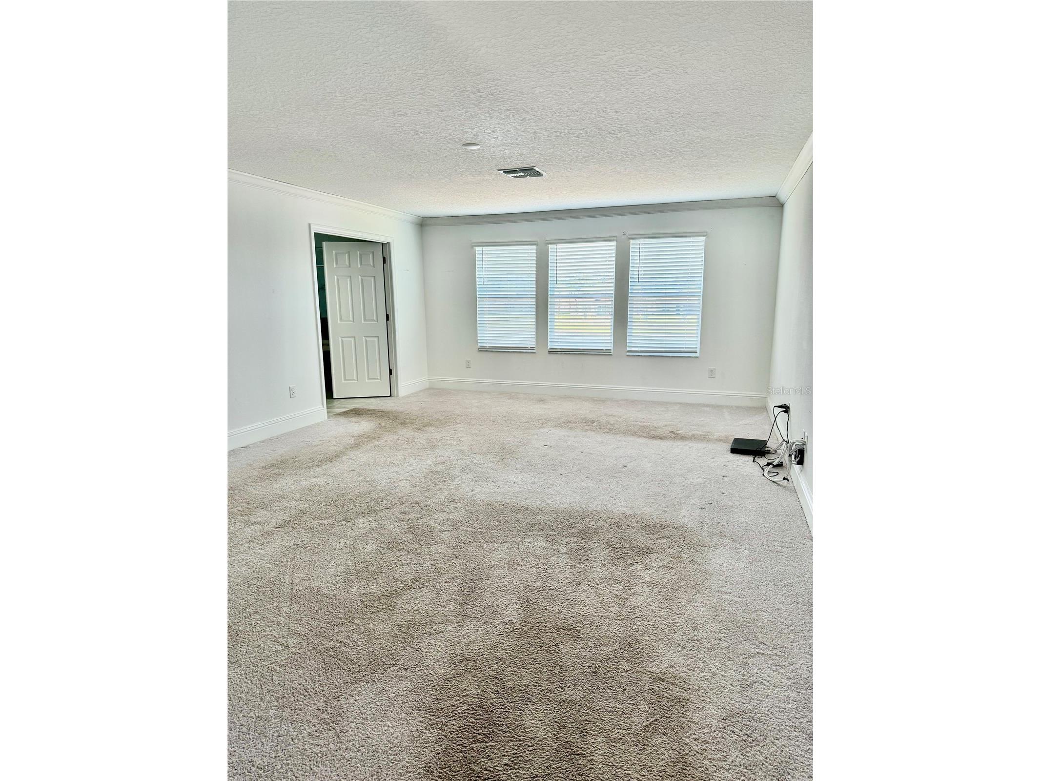 12964 Willow Grove Drive Riverview FL 33579 T3518858 image21