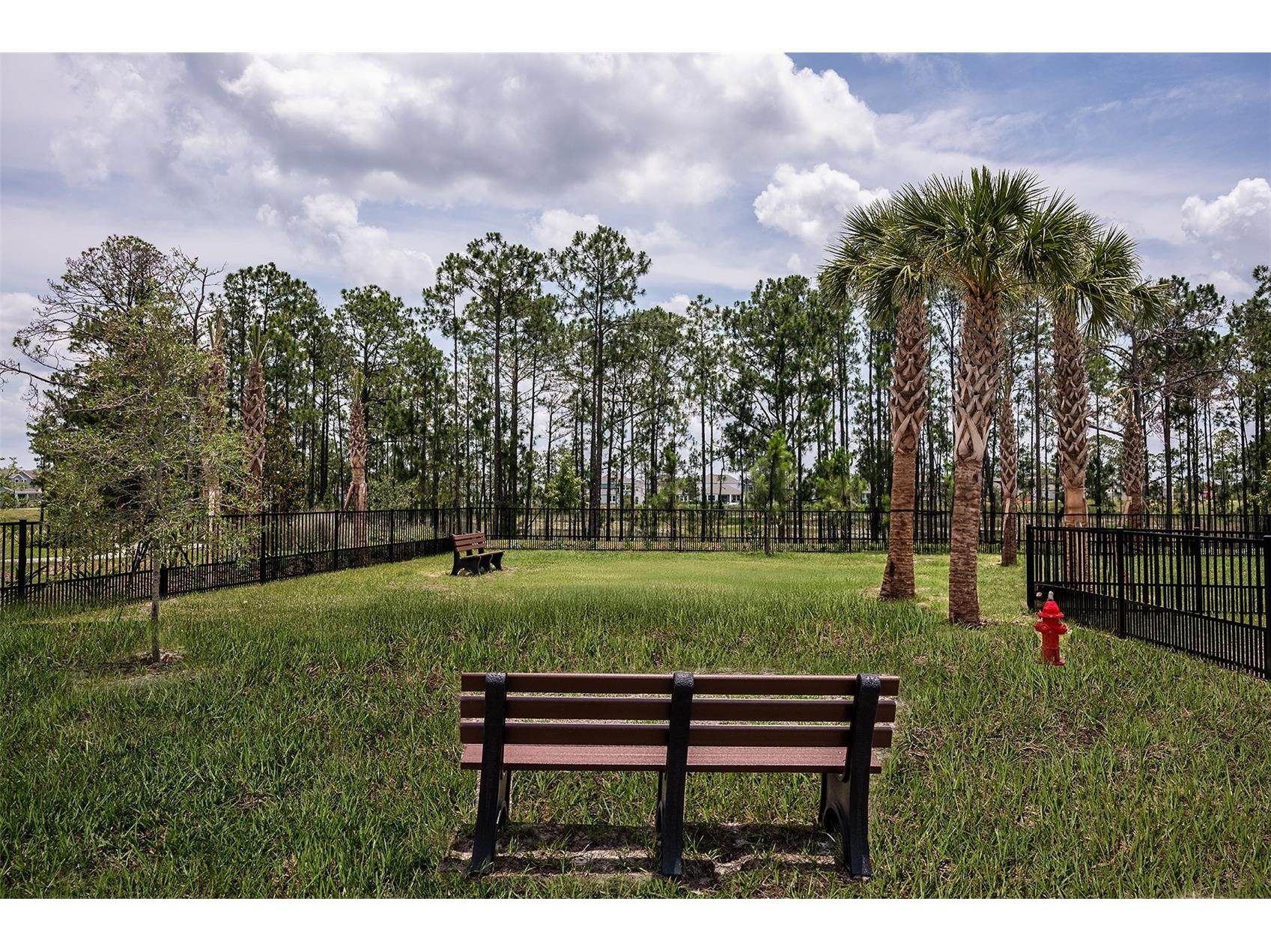 12965 Harvest Rain Avenue Winter Garden FL 34787 O6392975 image27