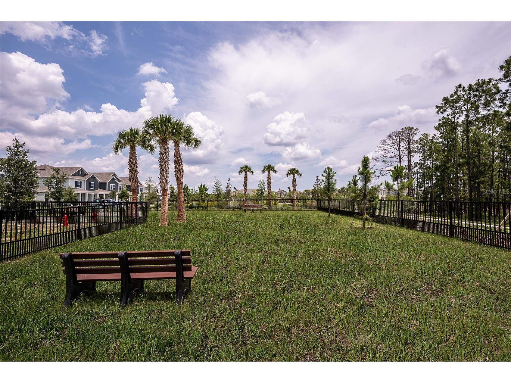 12965 Harvest Rain Avenue Winter Garden FL 34787 O6392975 image31