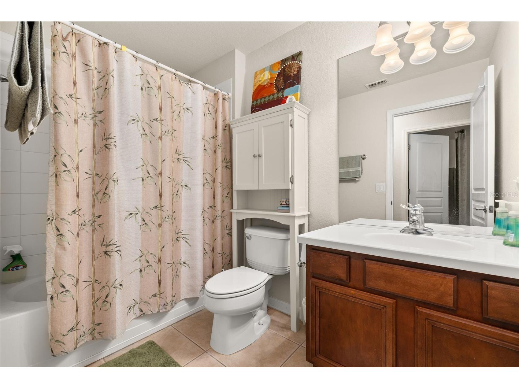 12966 Vennetta Way Windermere FL 34786 S5148828 image26