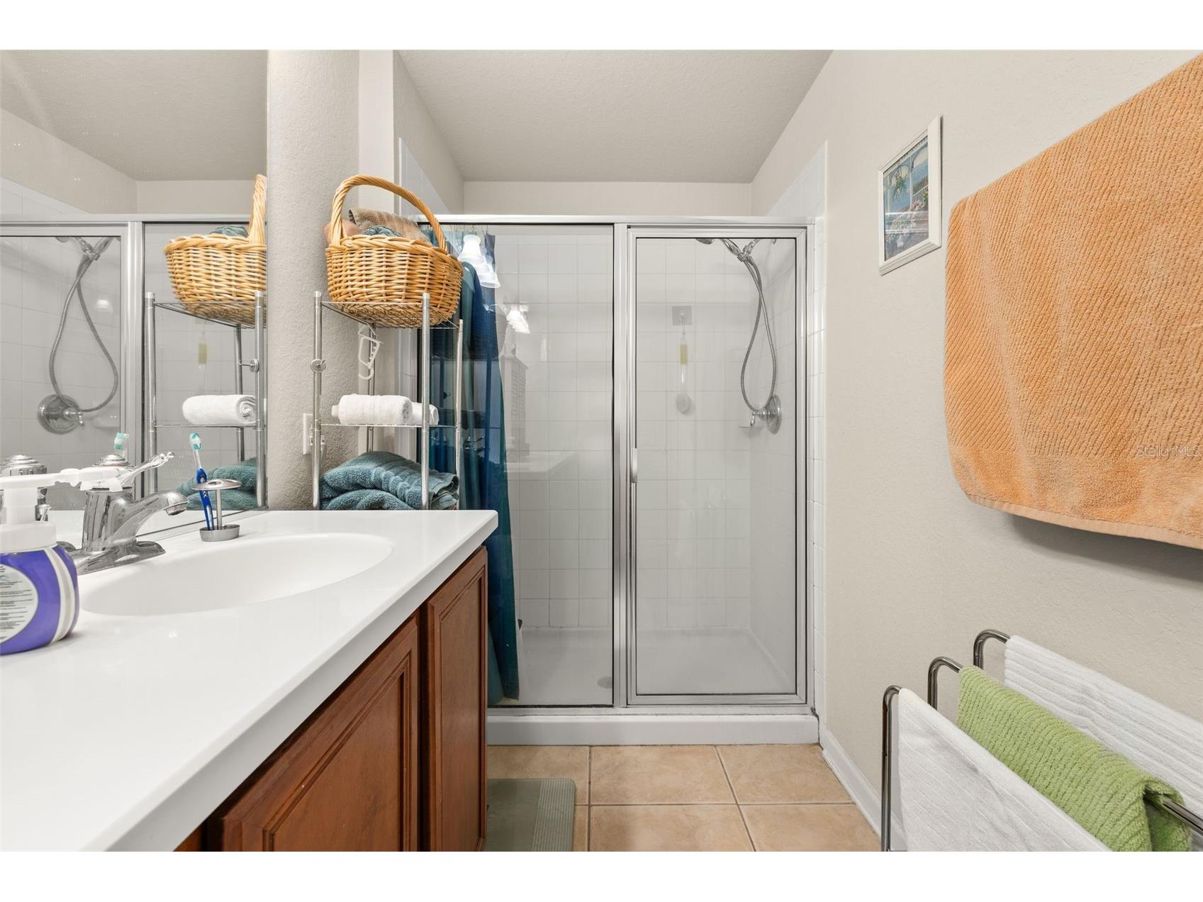12966 Vennetta Way Windermere FL 34786 S5148828 image33