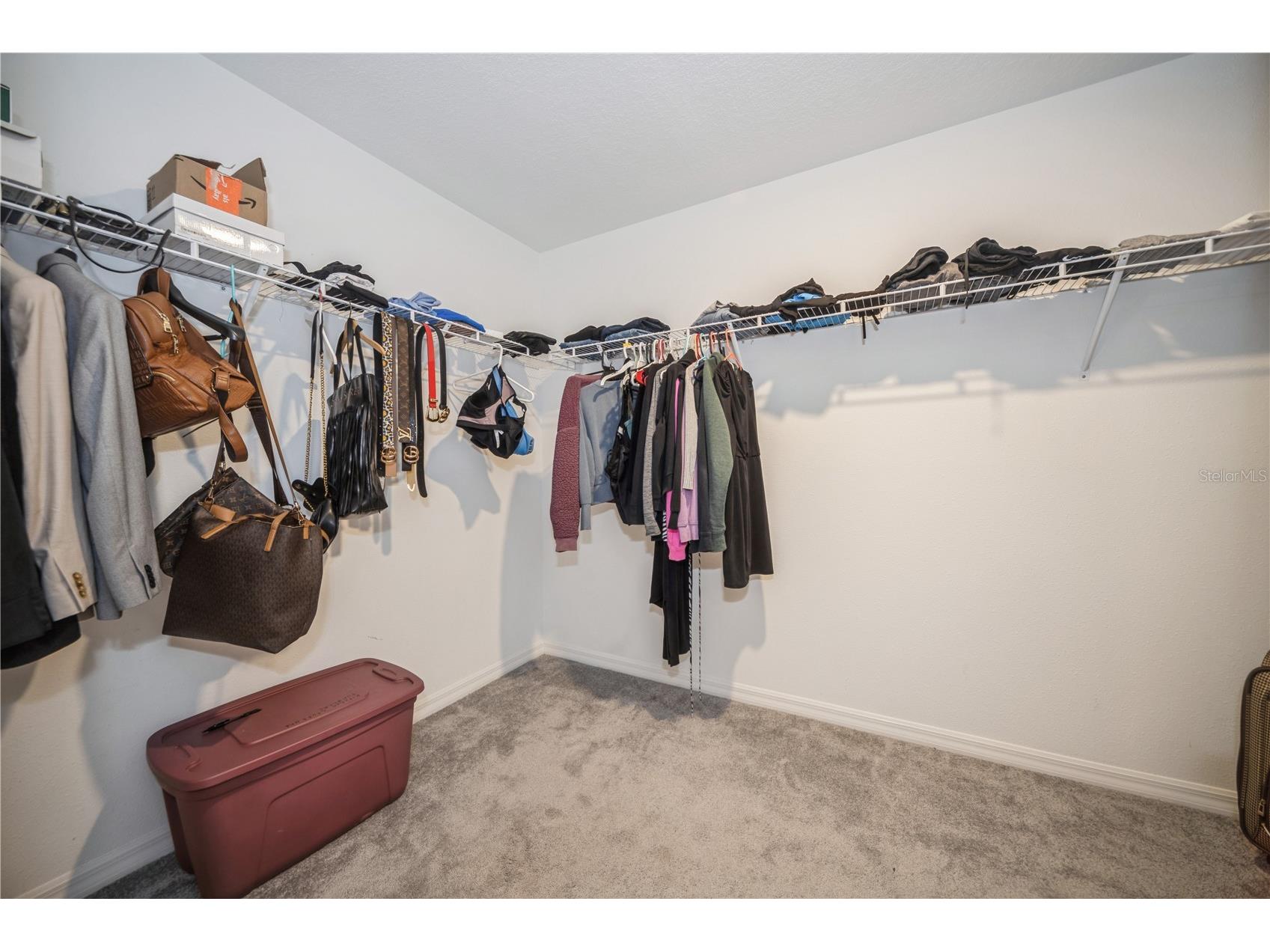 12967 Wildflower Meadow Drive Riverview FL 33579 TB8495236 image29