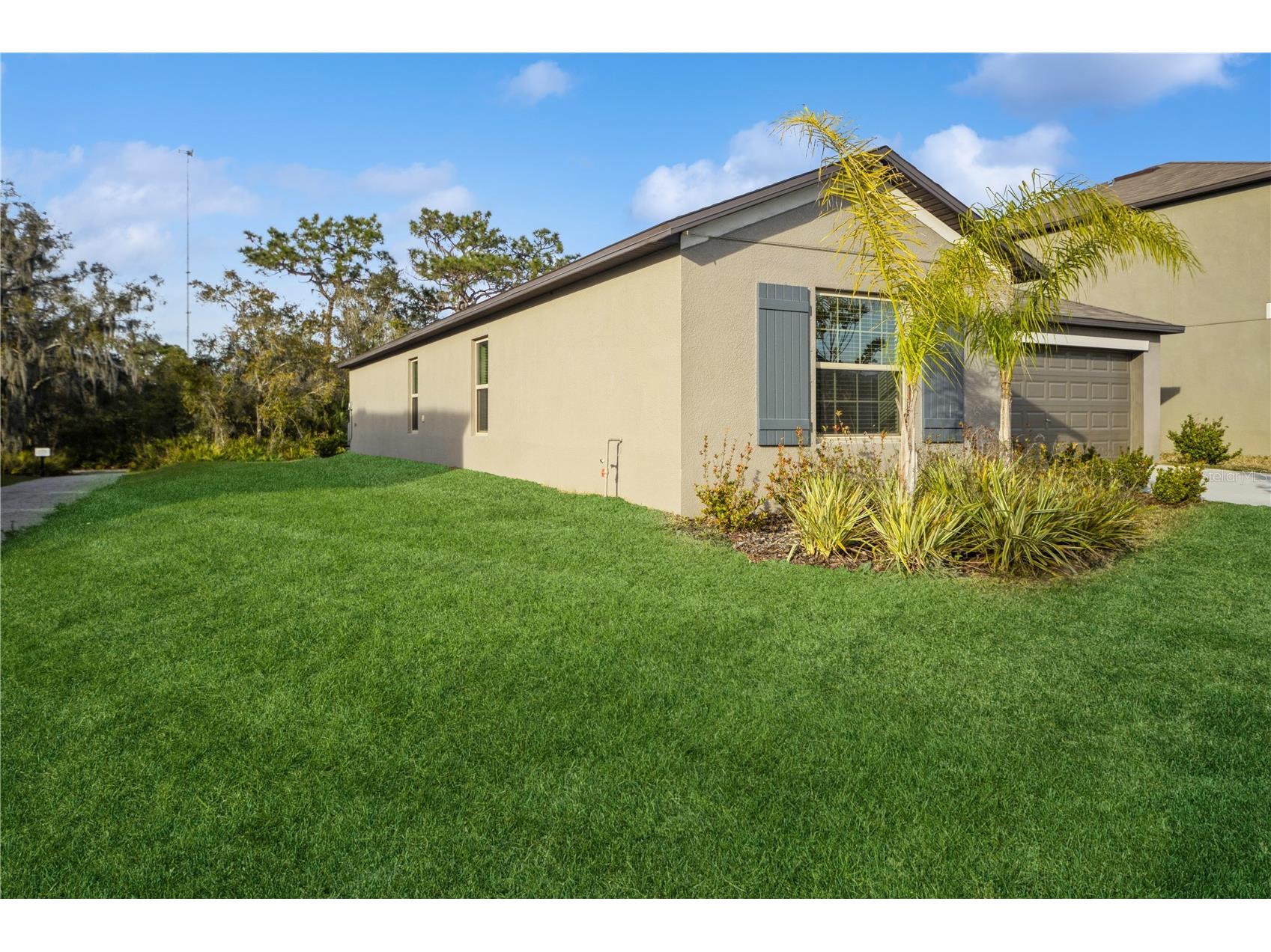 12967 Wildflower Meadow Drive Riverview FL 33579 TB8495236 image3