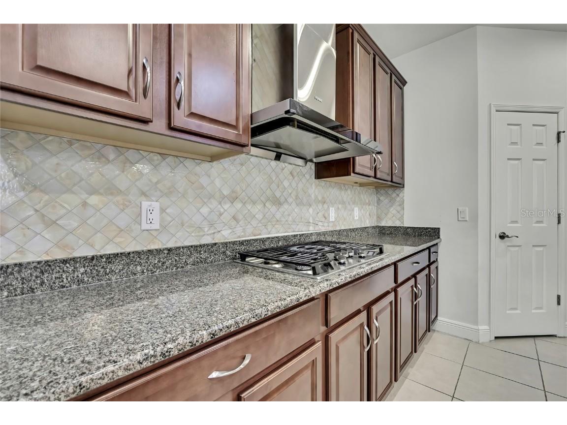 12969 Burns Drive Odessa FL 33556 TB8432514 image12