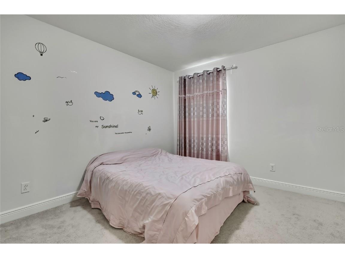 12969 Burns Drive Odessa FL 33556 TB8432514 image27