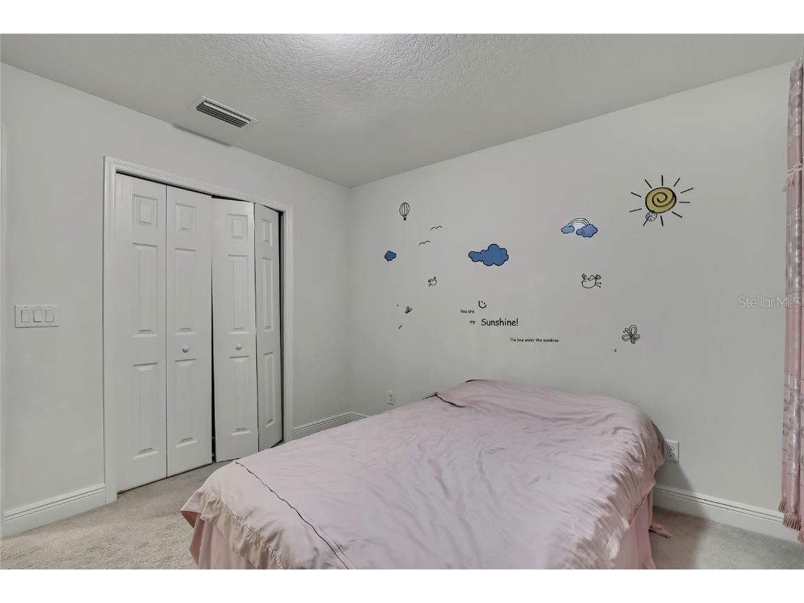 12969 Burns Drive Odessa FL 33556 TB8432514 image28
