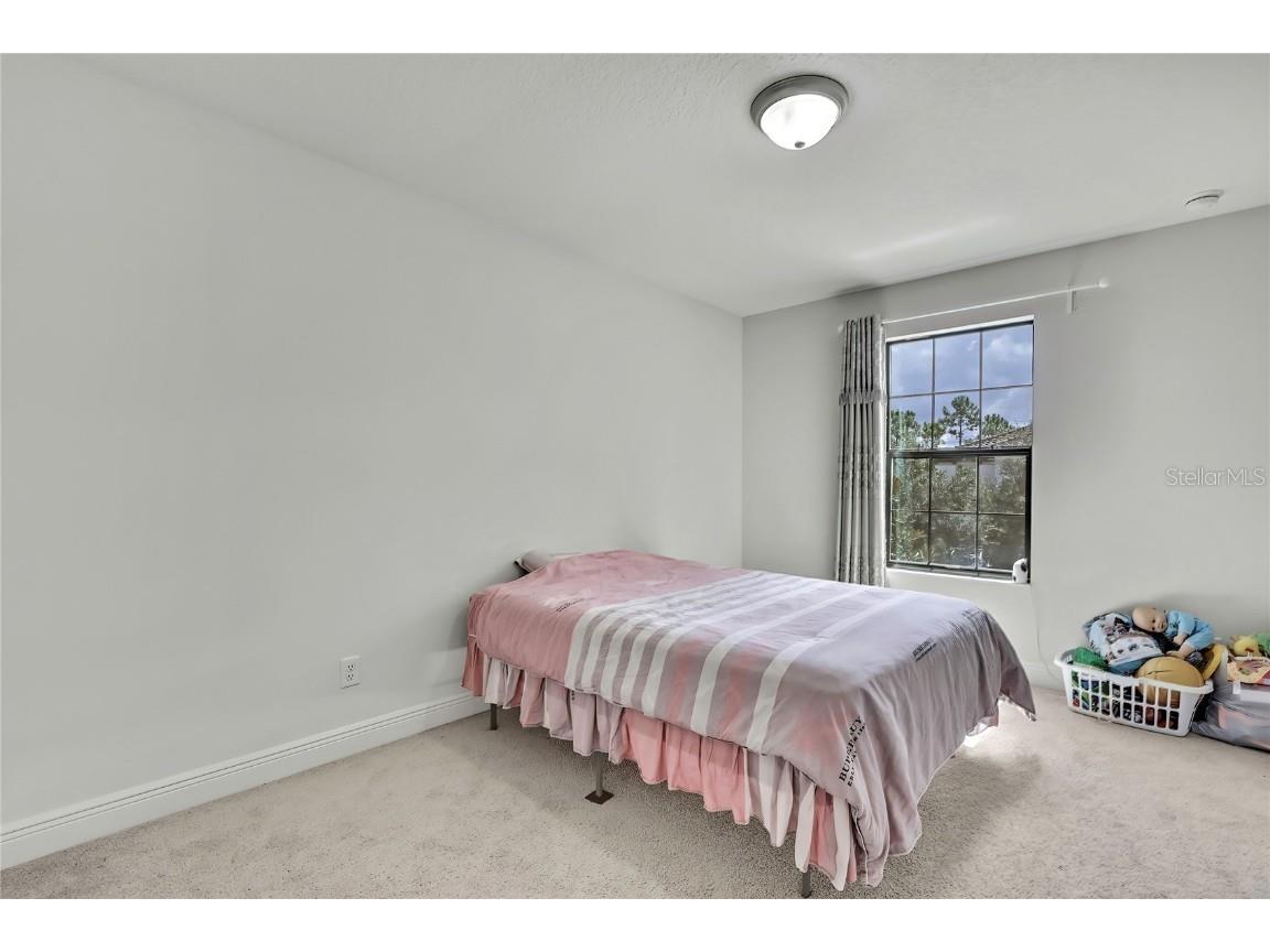 12969 Burns Drive Odessa FL 33556 TB8432514 image34