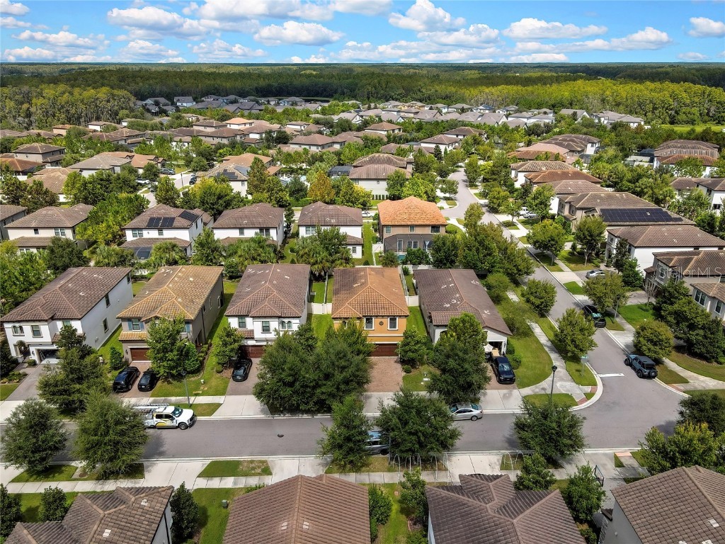 12969 Burns Drive Odessa FL 33556 TB8432514 image48