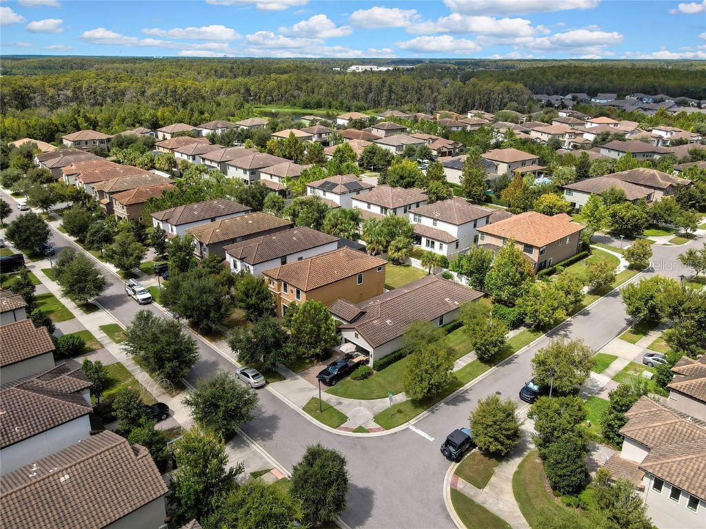 12969 Burns Drive Odessa FL 33556 TB8432514 image49