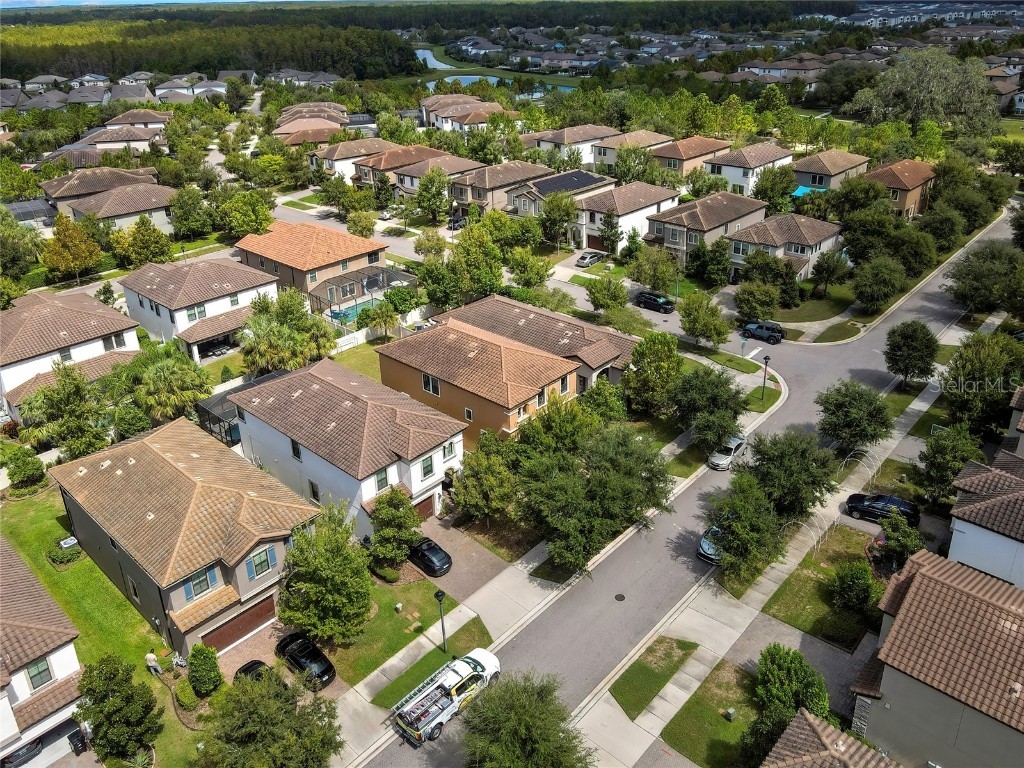 12969 Burns Drive Odessa FL 33556 TB8432514 image55