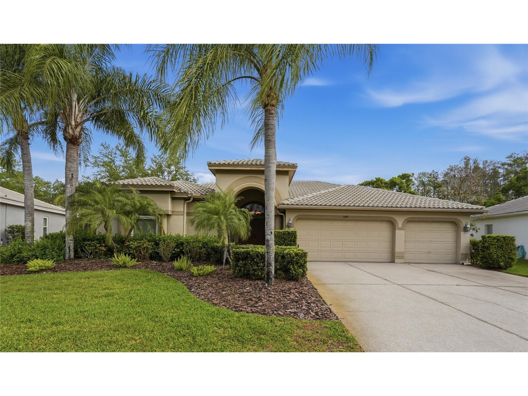 1297 Kings Way Lane Tarpon Springs FL 34688 W7884290 image2