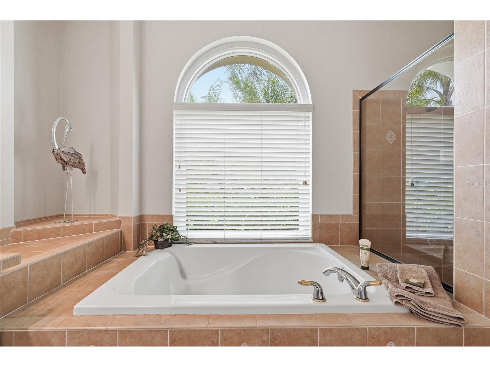 1297 Kings Way Lane Tarpon Springs FL 34688 W7884290 image23