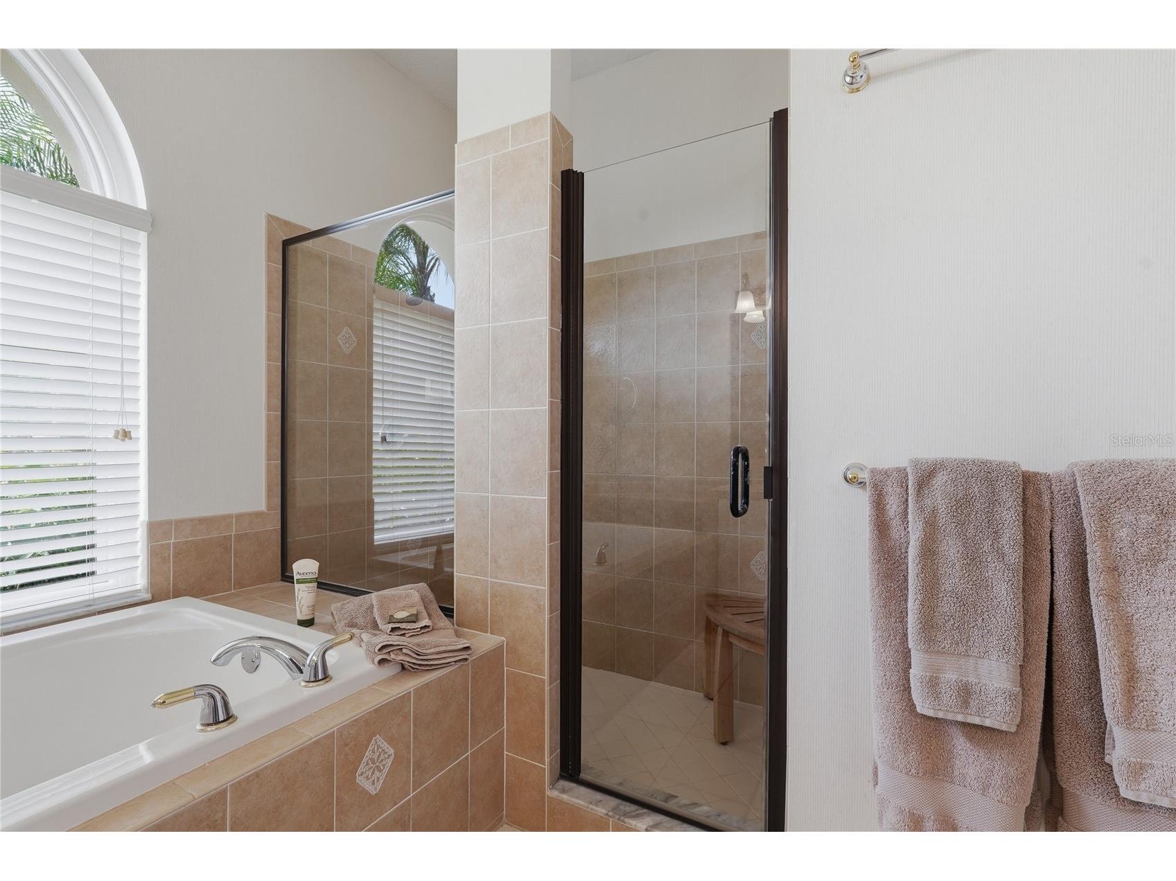 1297 Kings Way Lane Tarpon Springs FL 34688 W7884290 image24