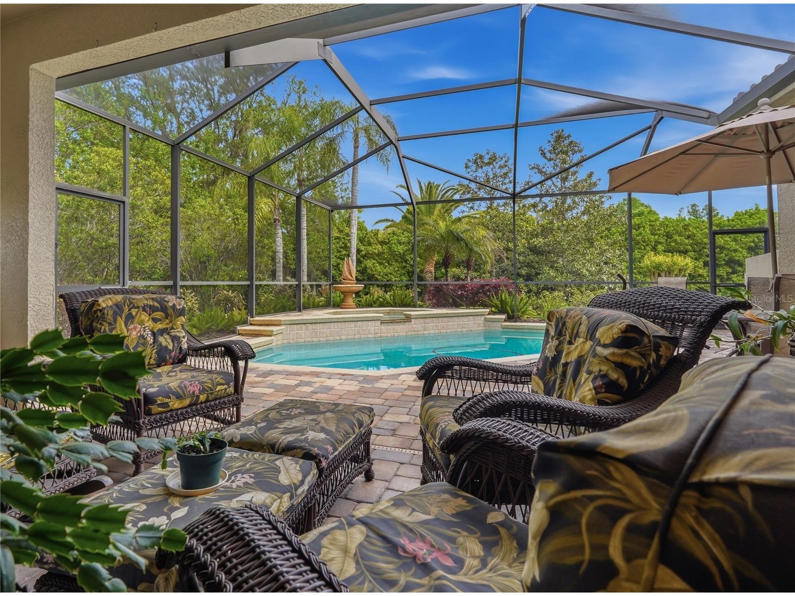 1297 Kings Way Lane Tarpon Springs FL 34688 W7884290 image3