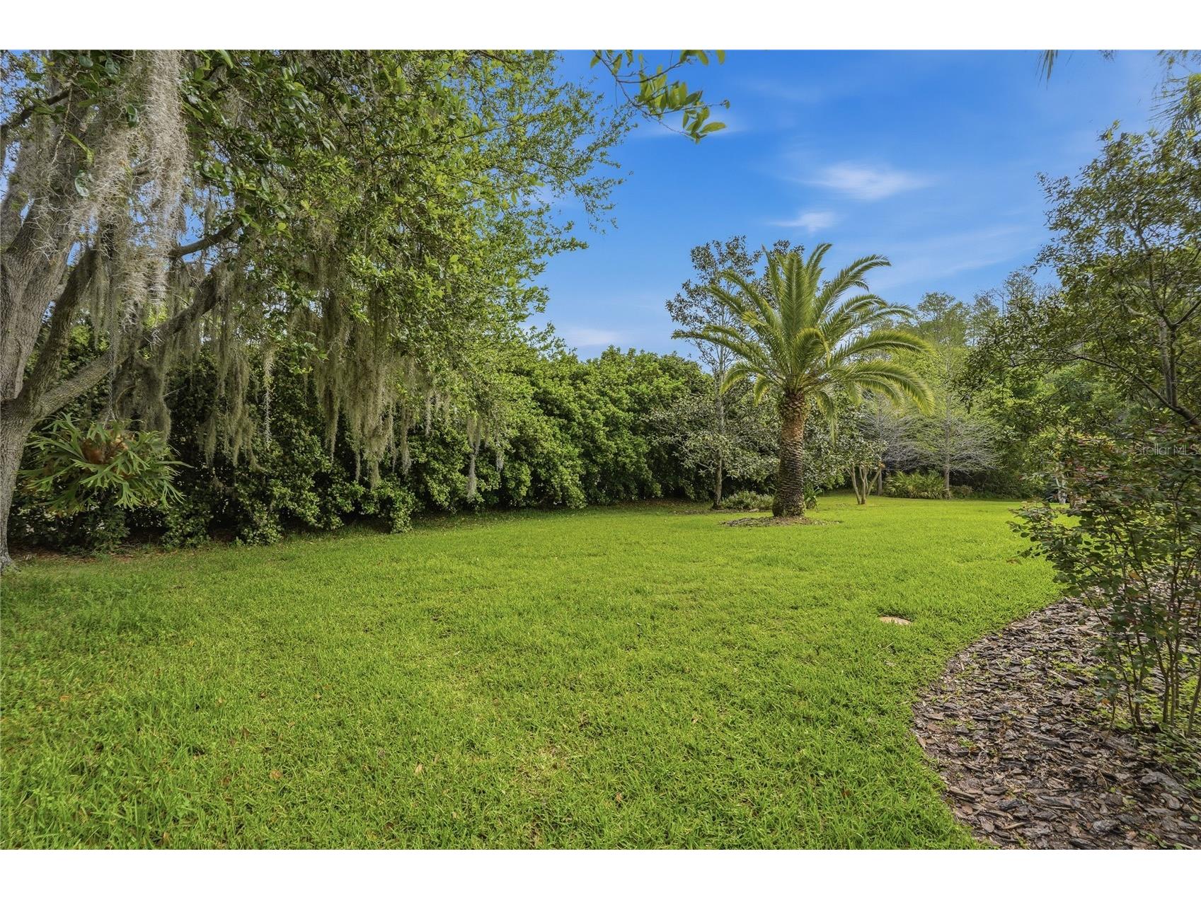 1297 Kings Way Lane Tarpon Springs FL 34688 W7884290 image42