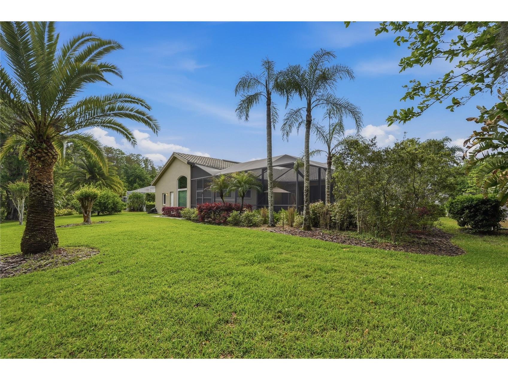1297 Kings Way Lane Tarpon Springs FL 34688 W7884290 image43