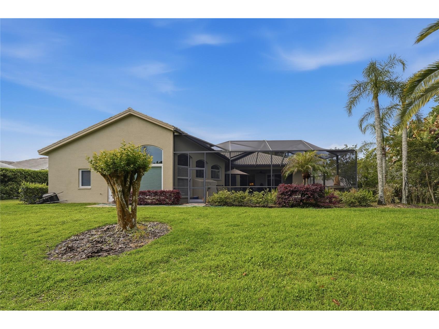 1297 Kings Way Lane Tarpon Springs FL 34688 W7884290 image44