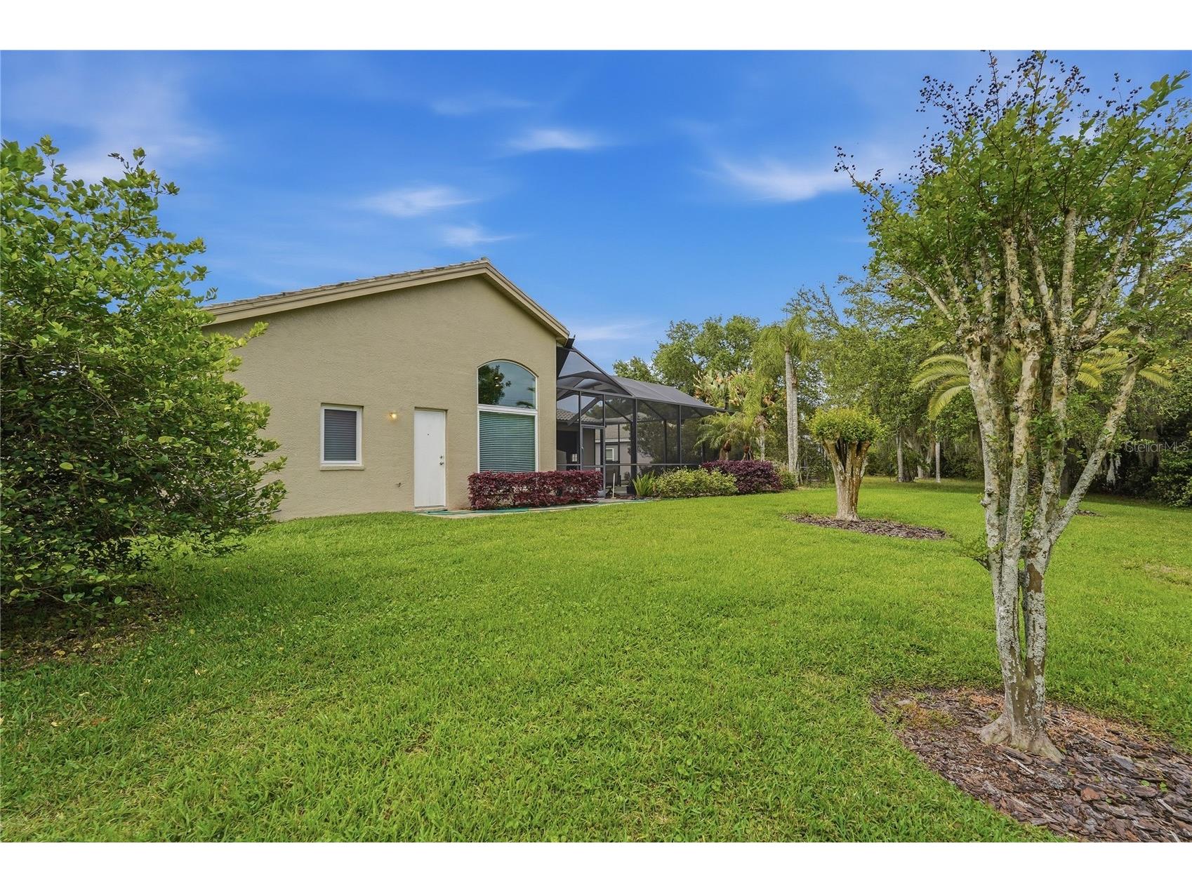 1297 Kings Way Lane Tarpon Springs FL 34688 W7884290 image45