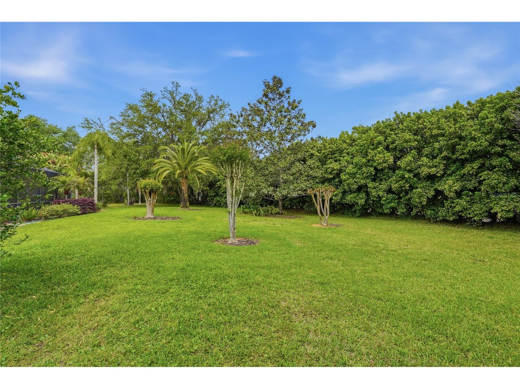 1297 Kings Way Lane Tarpon Springs FL 34688 W7884290 image46