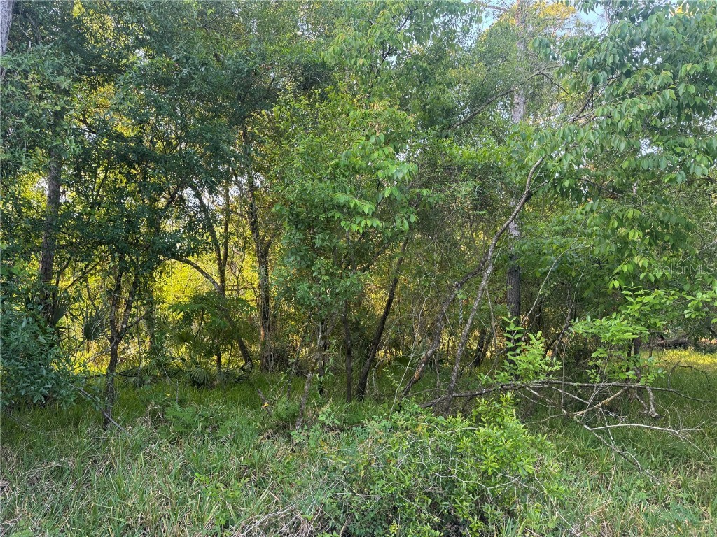 1297 NE River Raft Drive Arcadia FL 34266 C7508107 image2