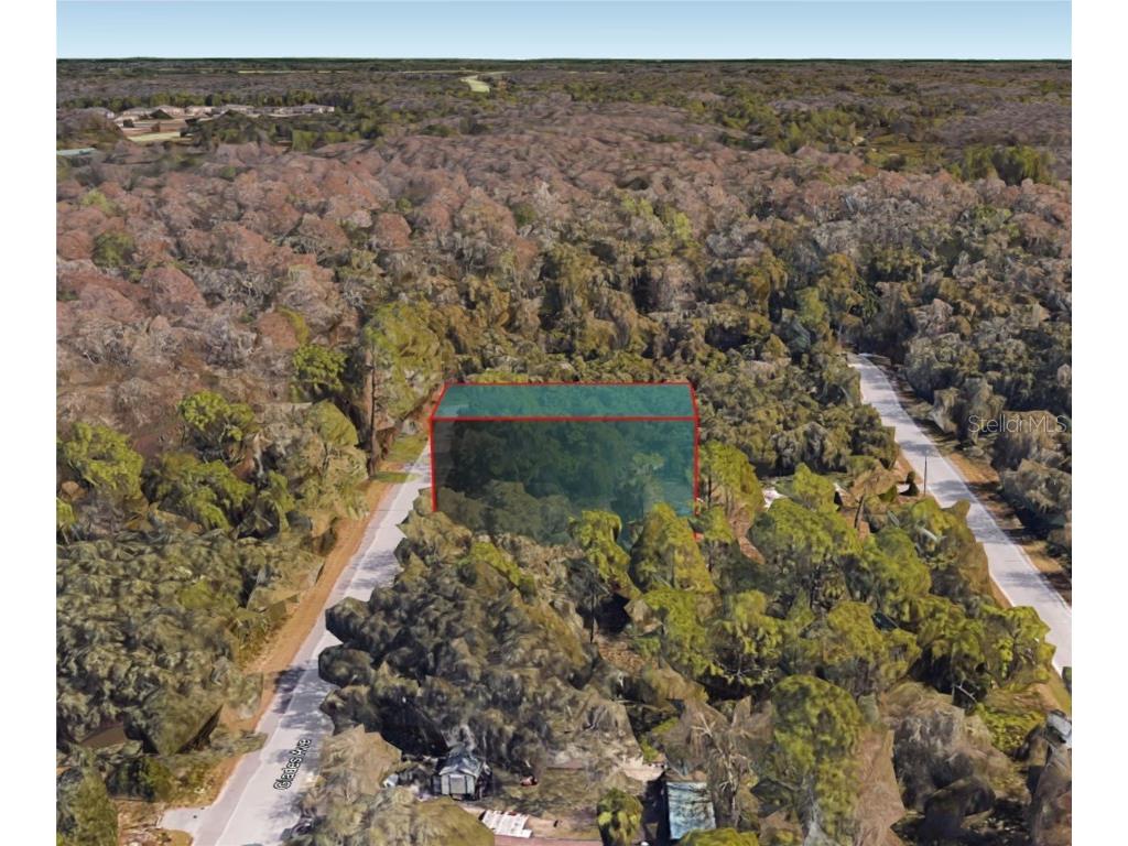 12970 Glades Avenue New Port Richey FL 34654 O6248407 image1