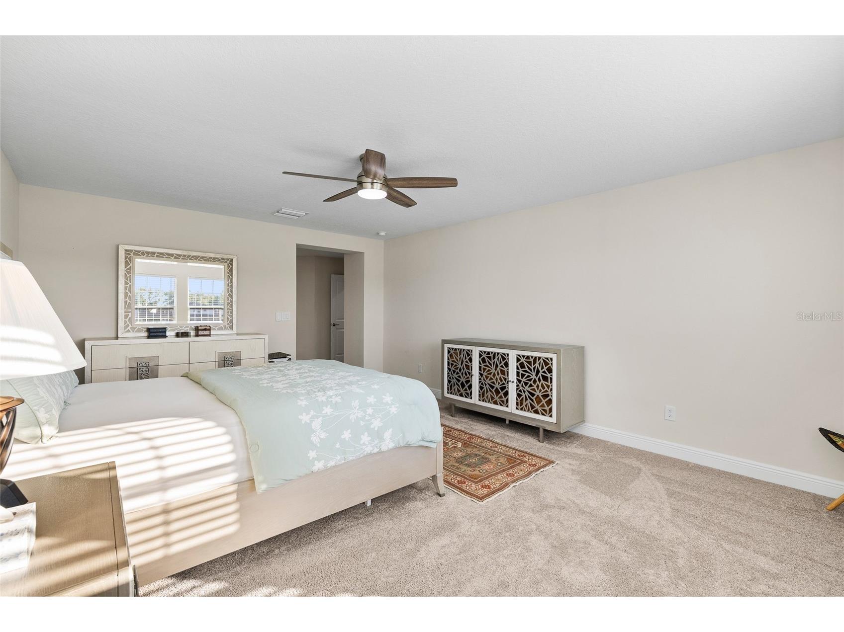 12970 Steed Trace Loop Lithia FL 33547 TB8496964 image22