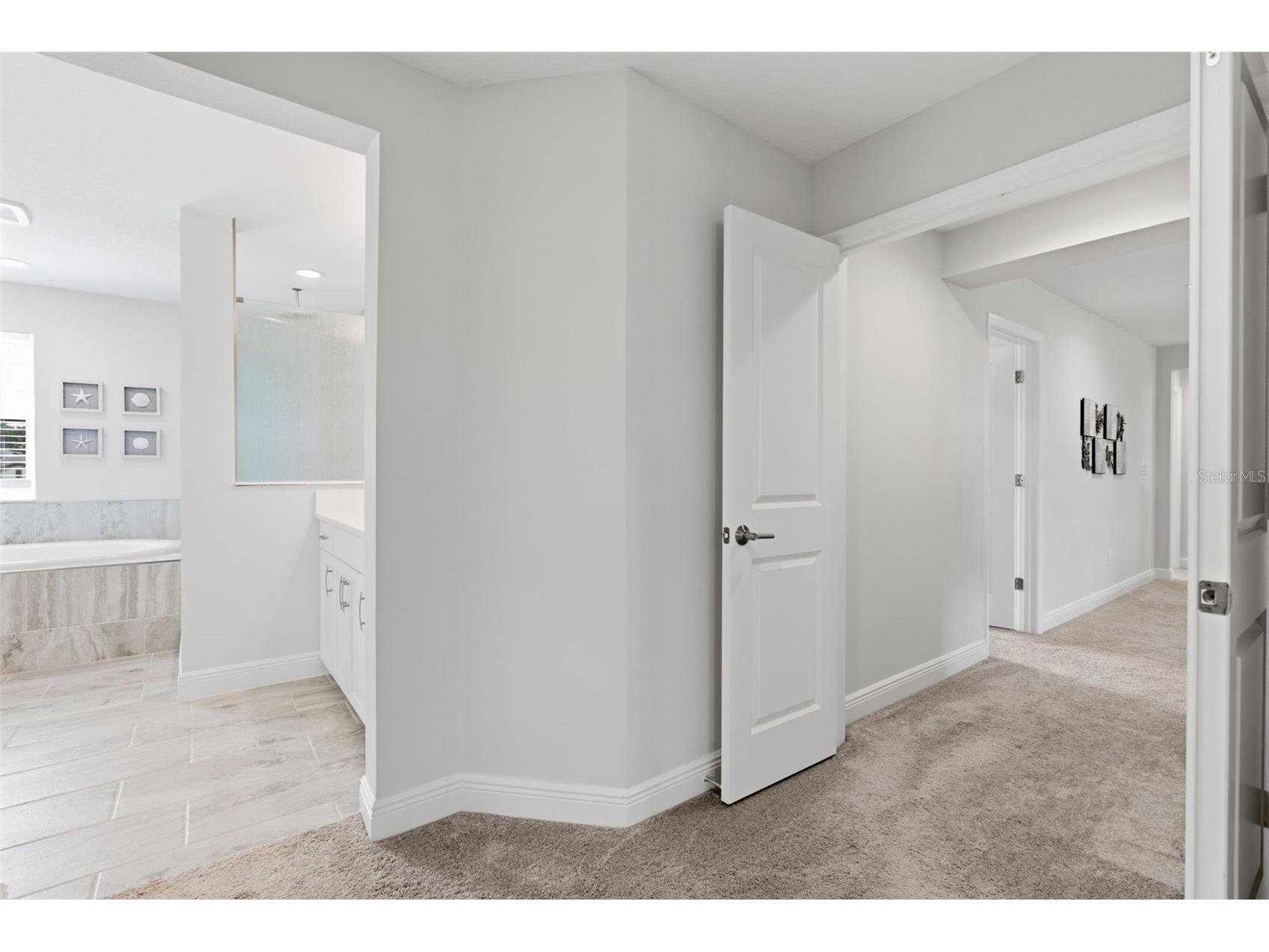 12970 Steed Trace Loop Lithia FL 33547 TB8527699 image31