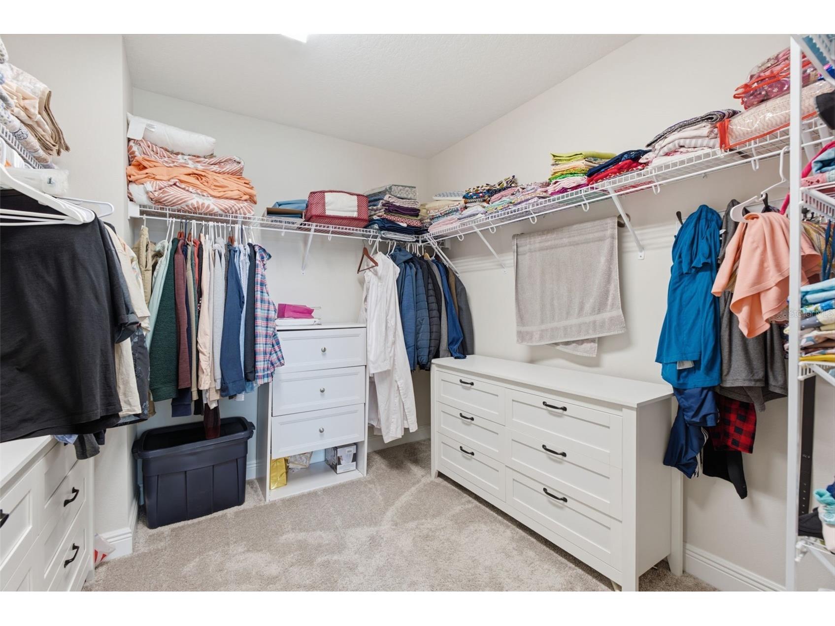 12970 Steed Trace Loop Lithia FL 33547 TB8527699 image36