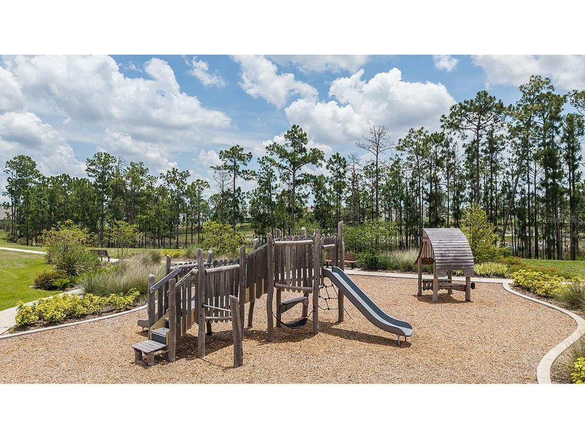 12971 Harvest Rain Avenue Winter Garden FL 34787 O6385596 image48