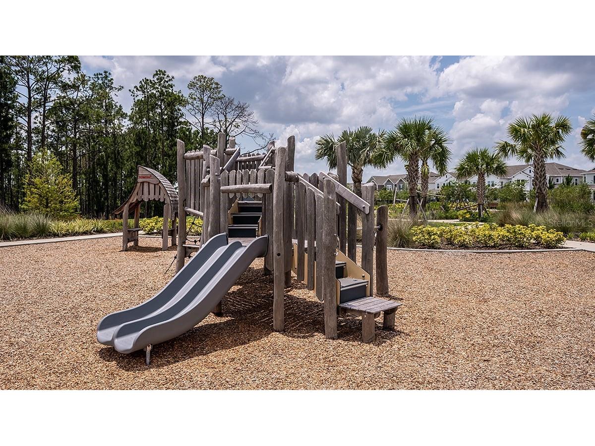 12971 Harvest Rain Avenue Winter Garden FL 34787 O6385596 image49