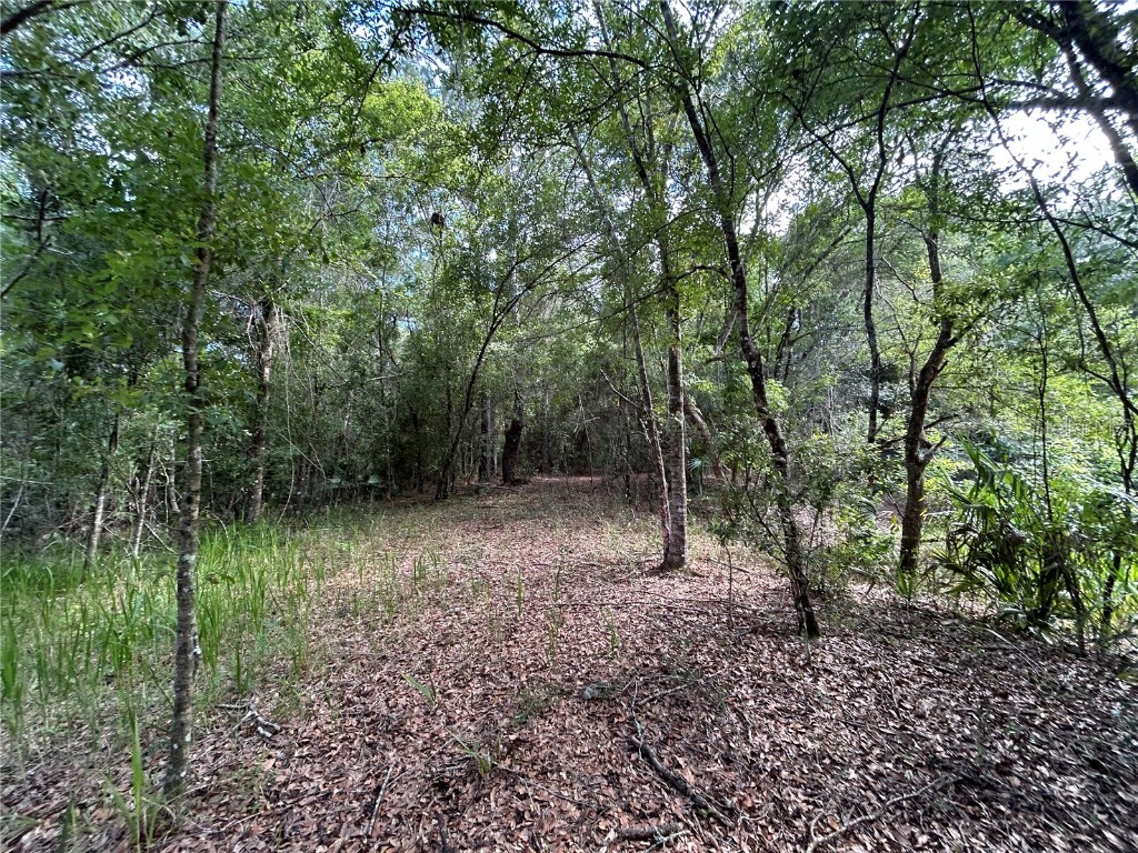 12972 + 12994 E Shawnee Trail Inverness FL 34450 T3531883 image1