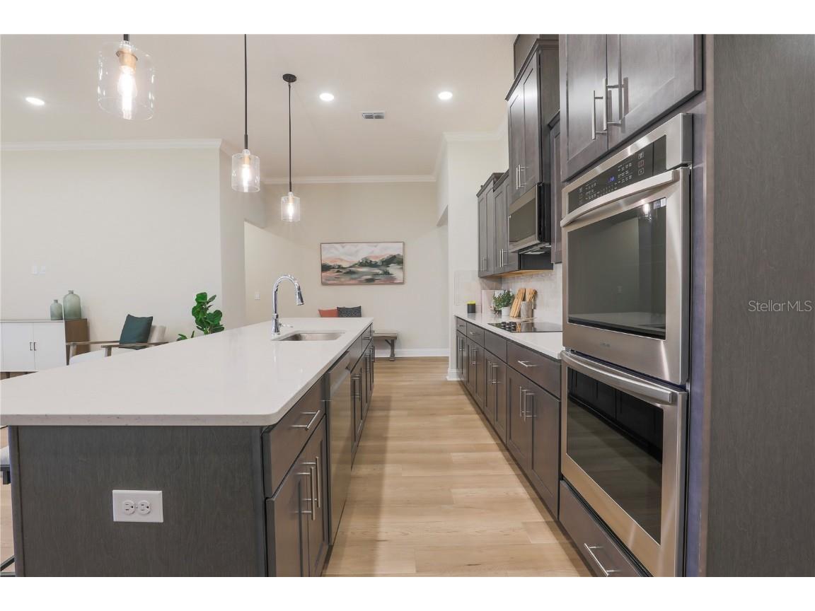 12975 Stillwater Cove Drive Astatula FL 34705 O6336490 image6