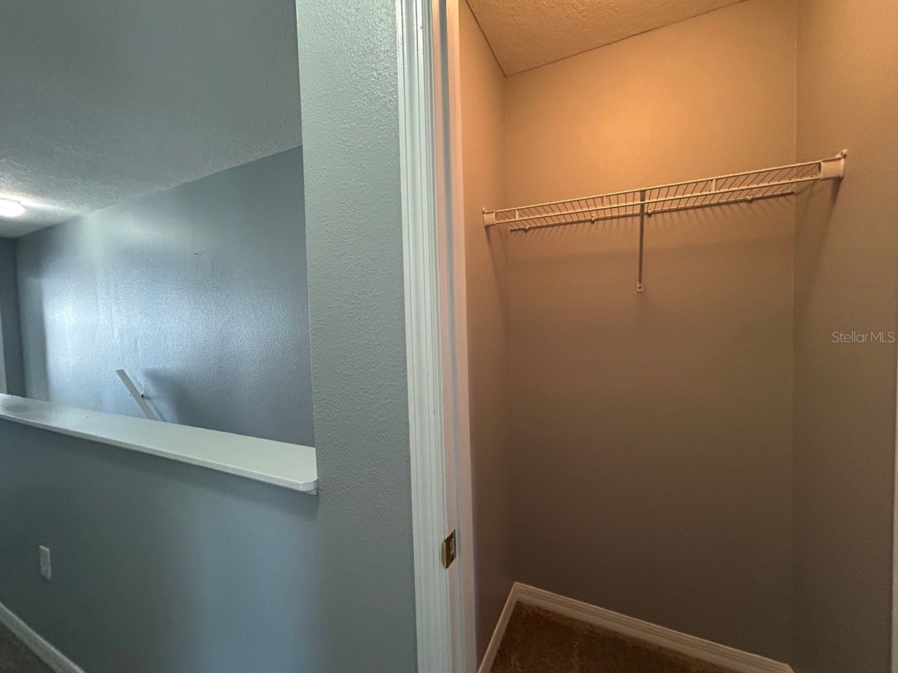 12978 Kings Crossing Drive Gibsonton FL 33534 TB8488801 image23