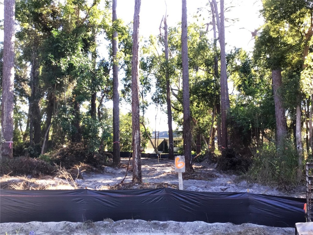 1298 Almaria Court Palm Harbor FL 34683 TB8461271 image1