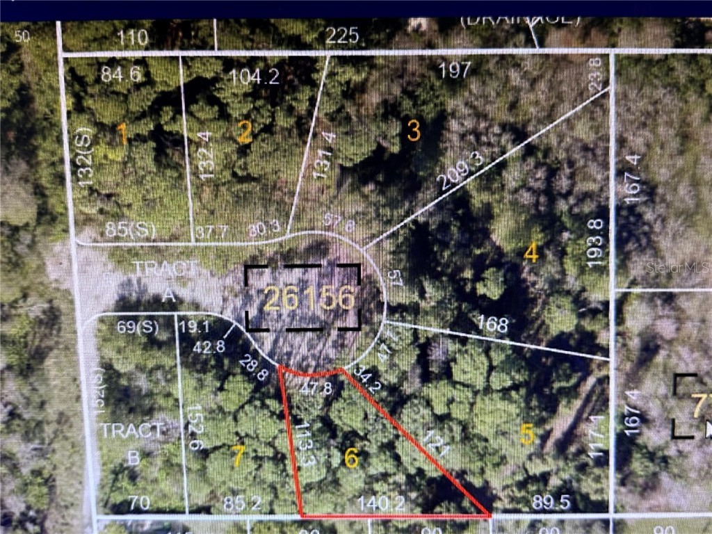 1298 Almaria Court Palm Harbor FL 34683 TB8461271 image2