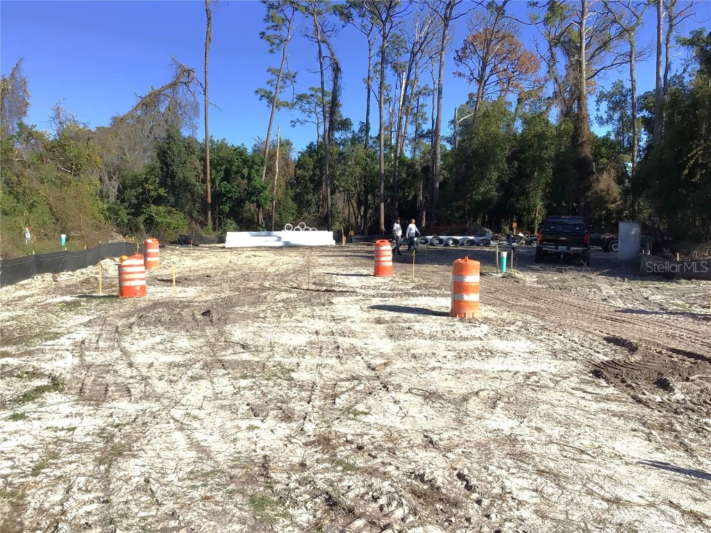 1298 Almaria Court Palm Harbor FL 34683 TB8461271 image5